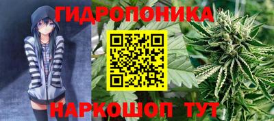 спиды Заволжье
