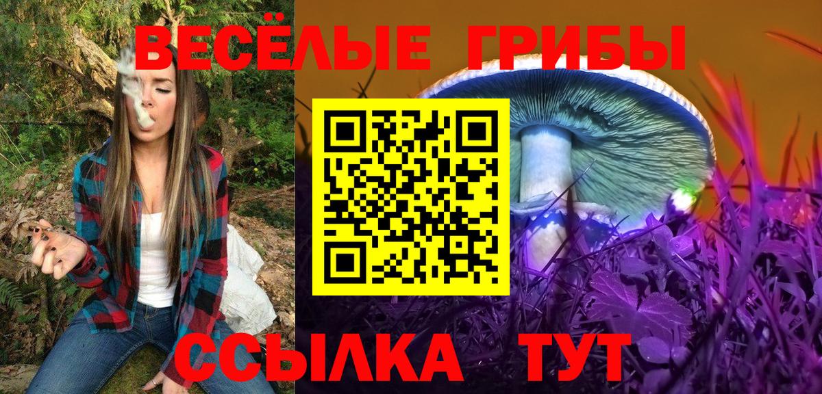 Псилоцибиновые грибы Psilocybine cubensis Менделеевск