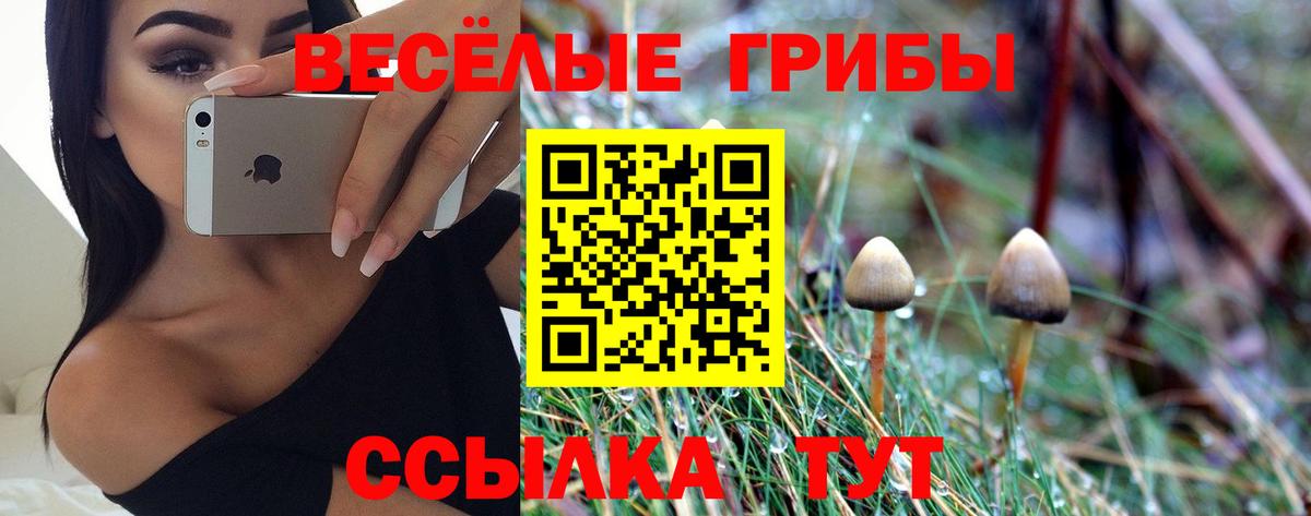 Галлюциногенные грибы MAGIC MUSHROOMS  Вход с VPN  Менделеевск 